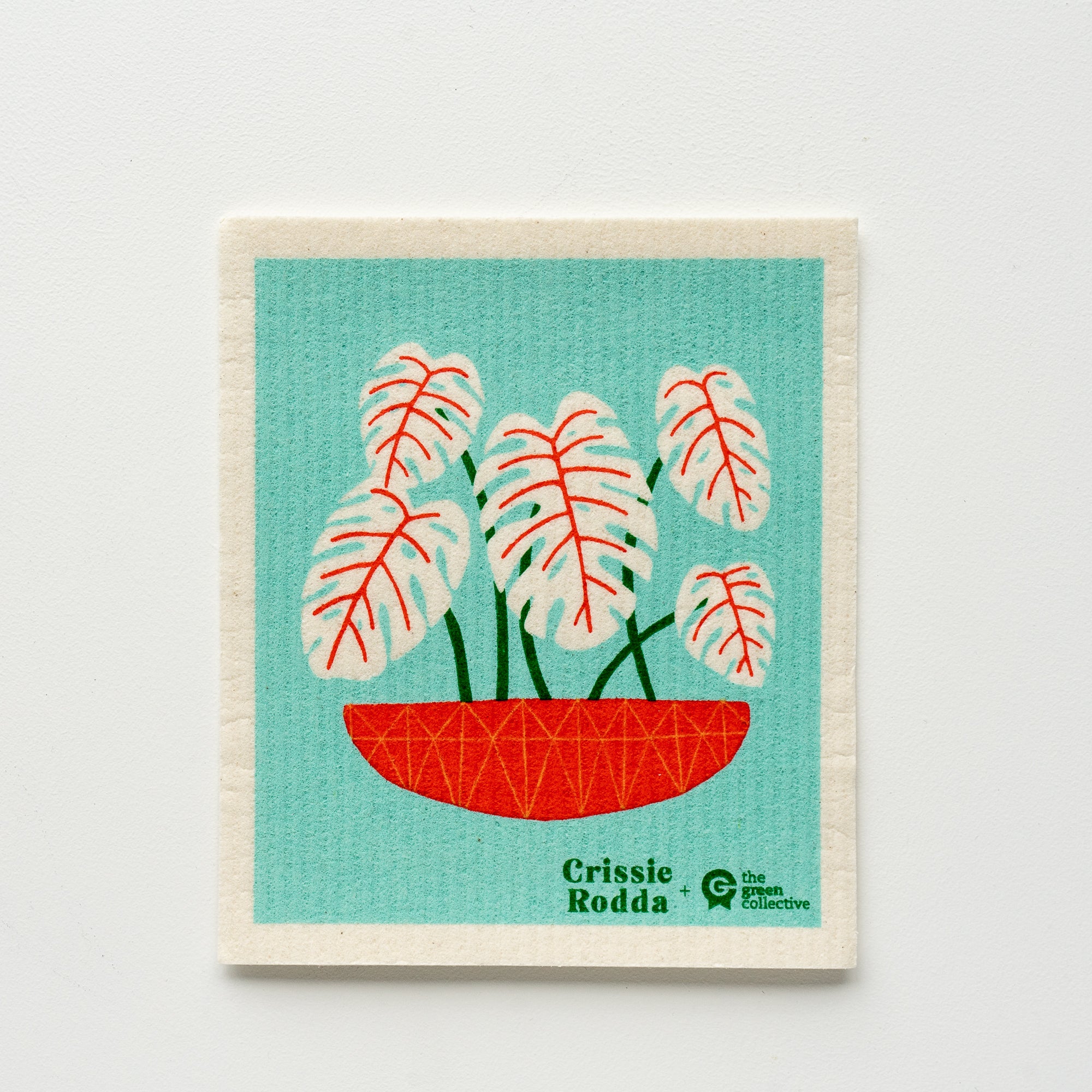 SPRUCE Compostable dish cloth Colourful Design The Green Collective The Eco Society Crissie Rodda Monstera Plant