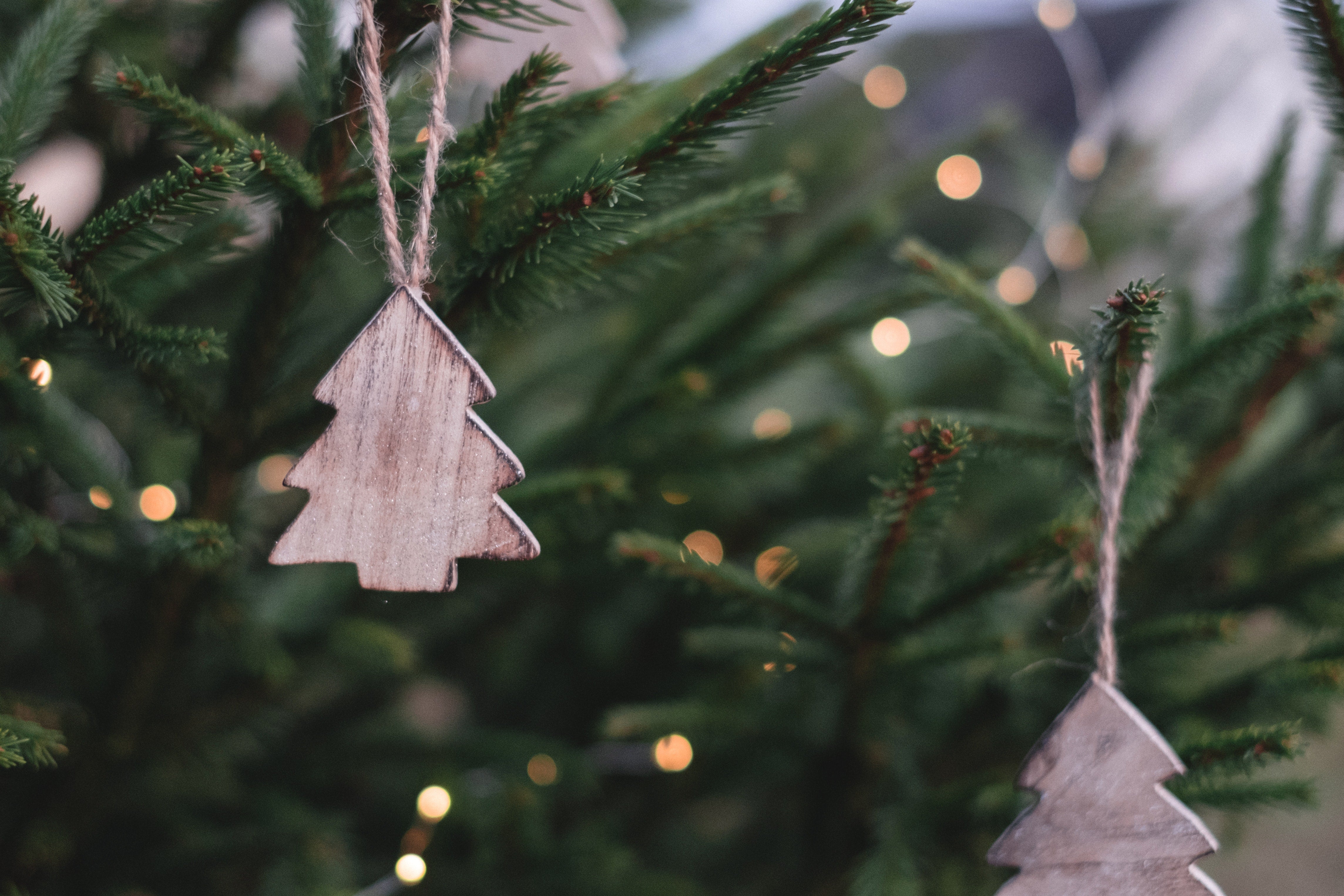 S1 | E04 - Having a more Sustainable Christmas